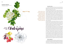 Charger l'image dans la galerie, Yggdrasil #2