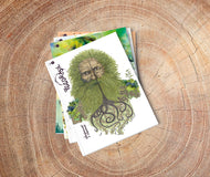 Abonnement 1 an (n°7 à 10)